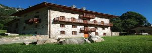 Agenzie Immobiliare Fiaip