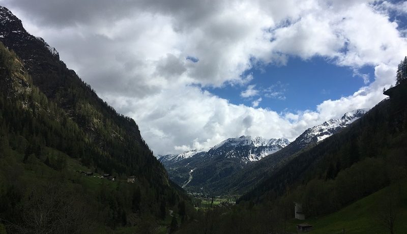 IMG_5566