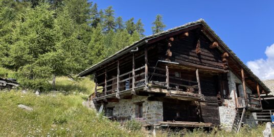 BAITE E TERRENI IN LOCALITA’ CIALVRINA