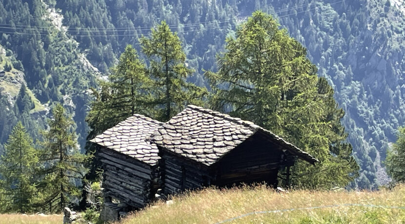 IMG_2538