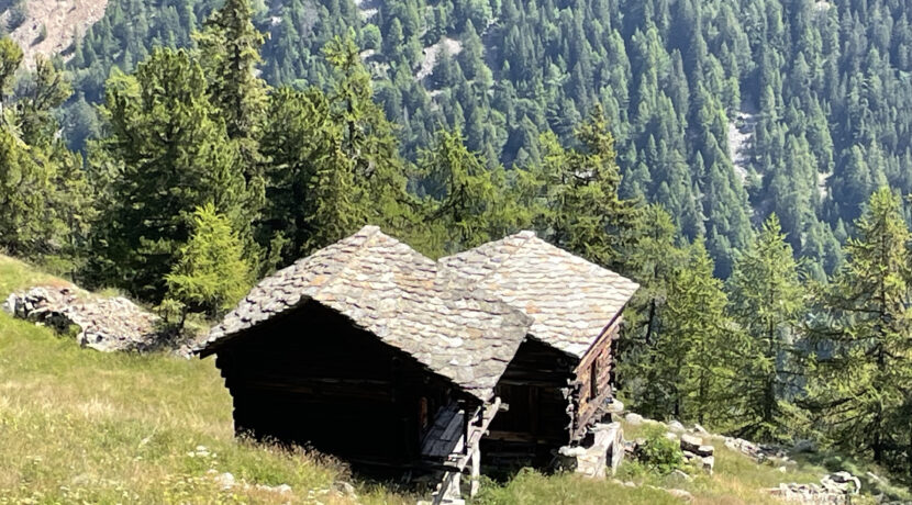 IMG_2540